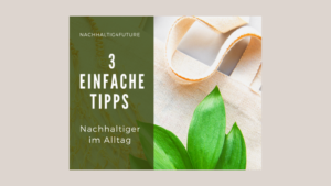 Nachhaltiger Im Alltag - 3 Einfache Tipps - Nachhaltig4future