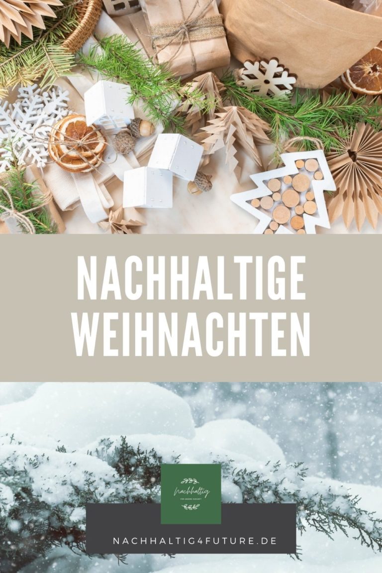 Nachhaltige Weihnachten — Nachhaltig4future 7691