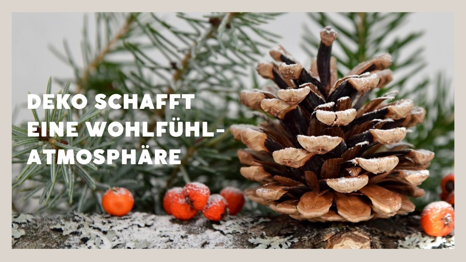 Nachhaltige Weihnachten — Nachhaltig4future 0054