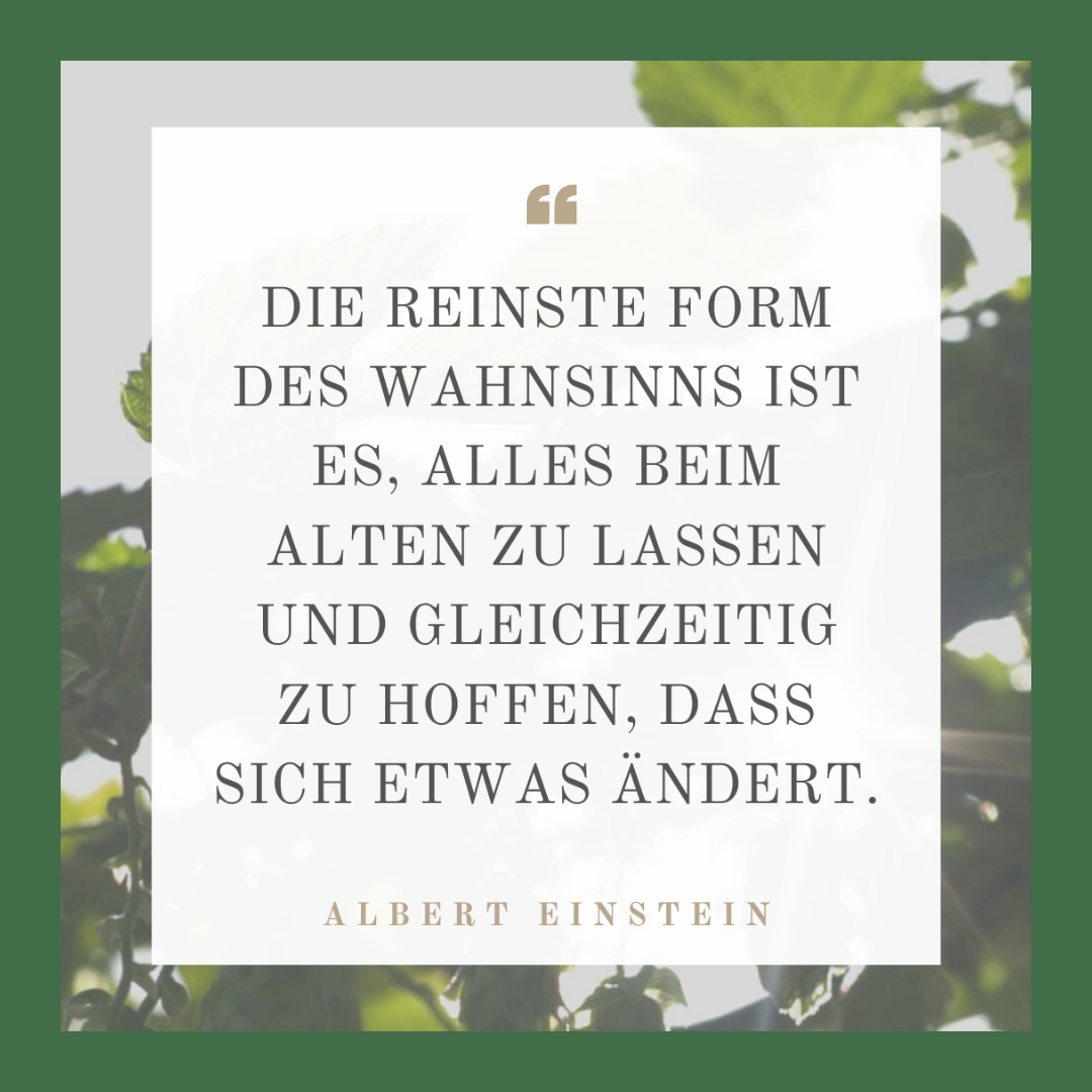 Die reinste Form des Wahnsinns ist es, alles beim Alten zu lassen und  gleichzeitig zu hoffen, dass sich etwas ändert.“ - Albert Einstein —  Nachhaltig4future