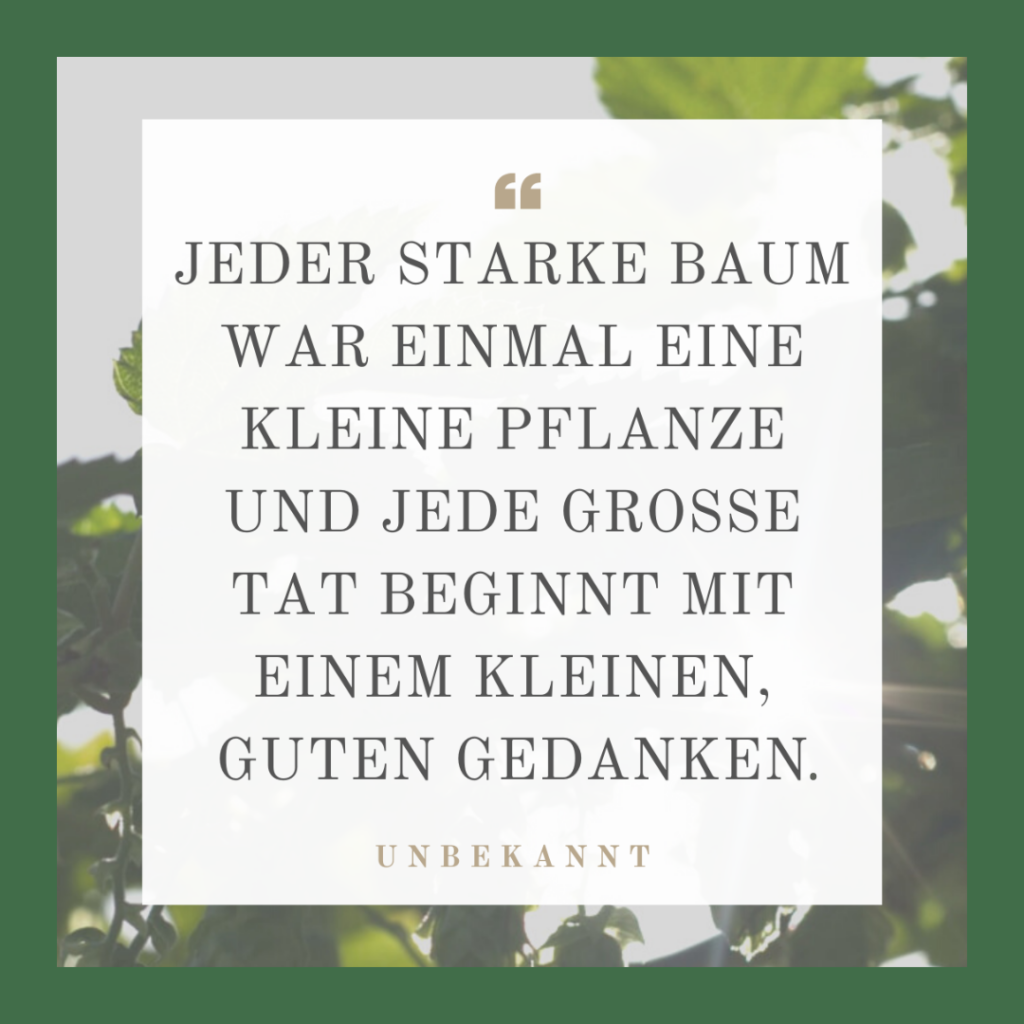 "Jeder starke Baum war einmal eine kleine Pflanze und jede große Tat