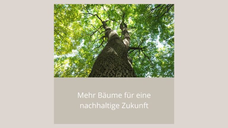 Nachhaltig4future — Blog Für Mehr Nachhaltigkeit Im Alltag