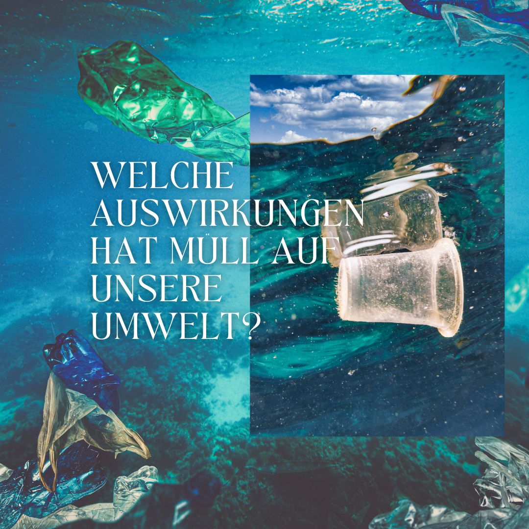Auswirkungen von Müll auf unsere Umwelt