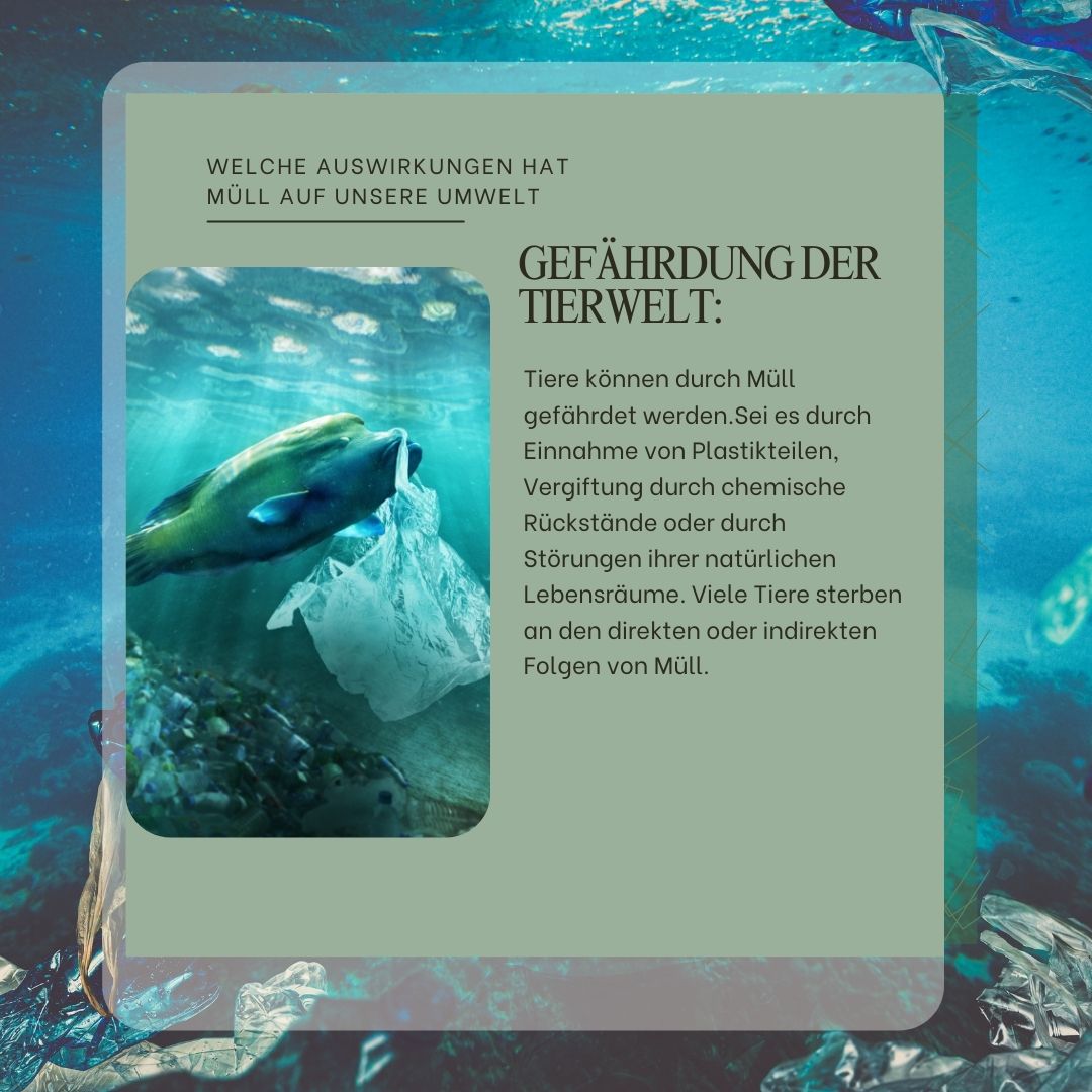 Umweltfolgen von Abfällen und Müll