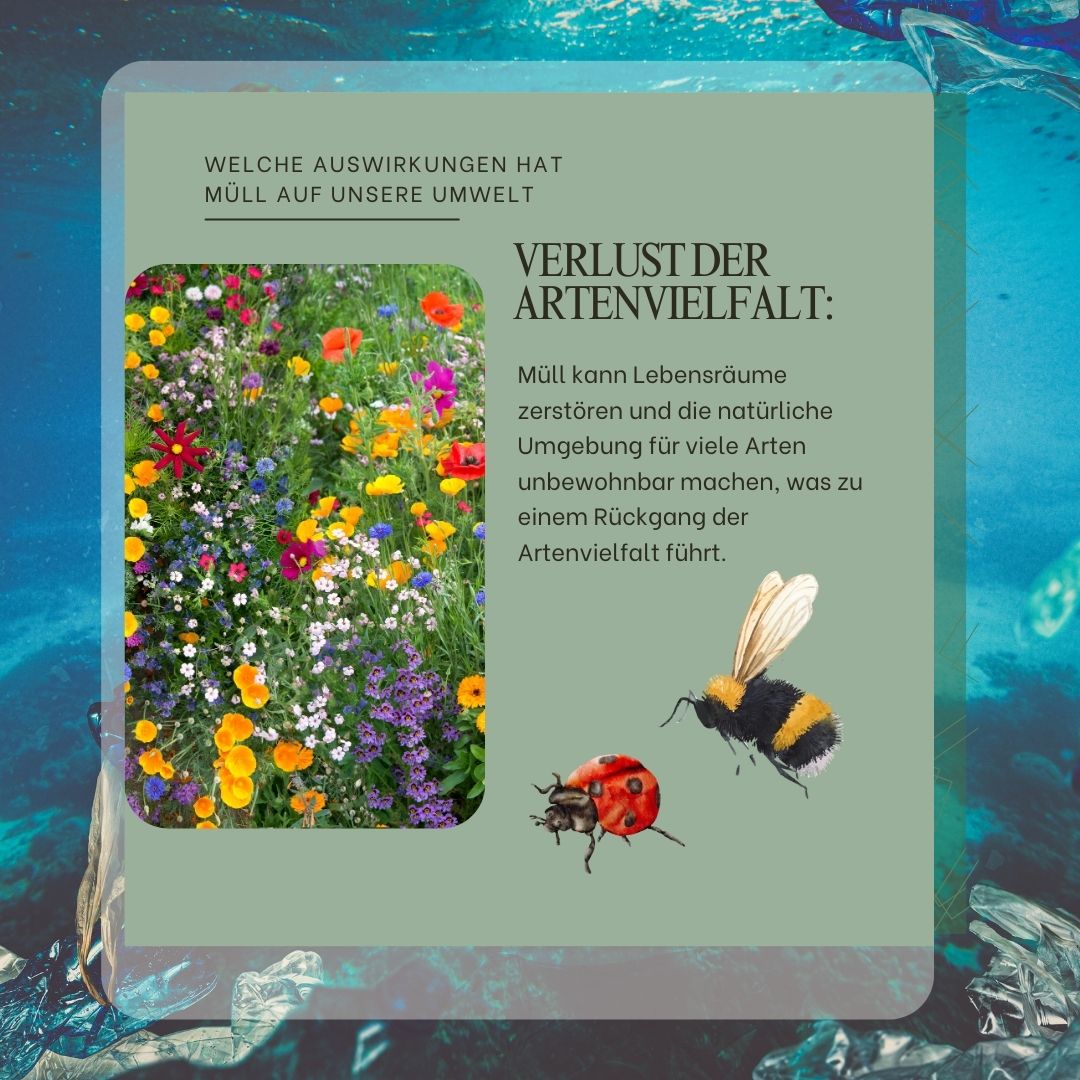 Müll reduzieren und richtig entsorgen