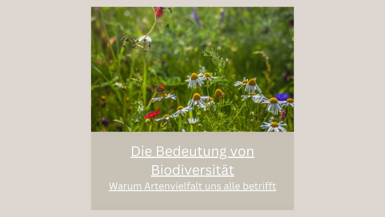 Die Bedeutung von Biodiversität: Warum Artenvielfalt uns alle betrifft